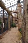 2013 07 06 beauval 013